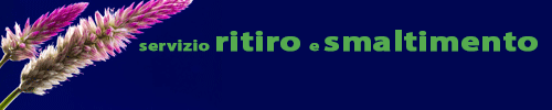 I servizi di Roccasecca Informatica